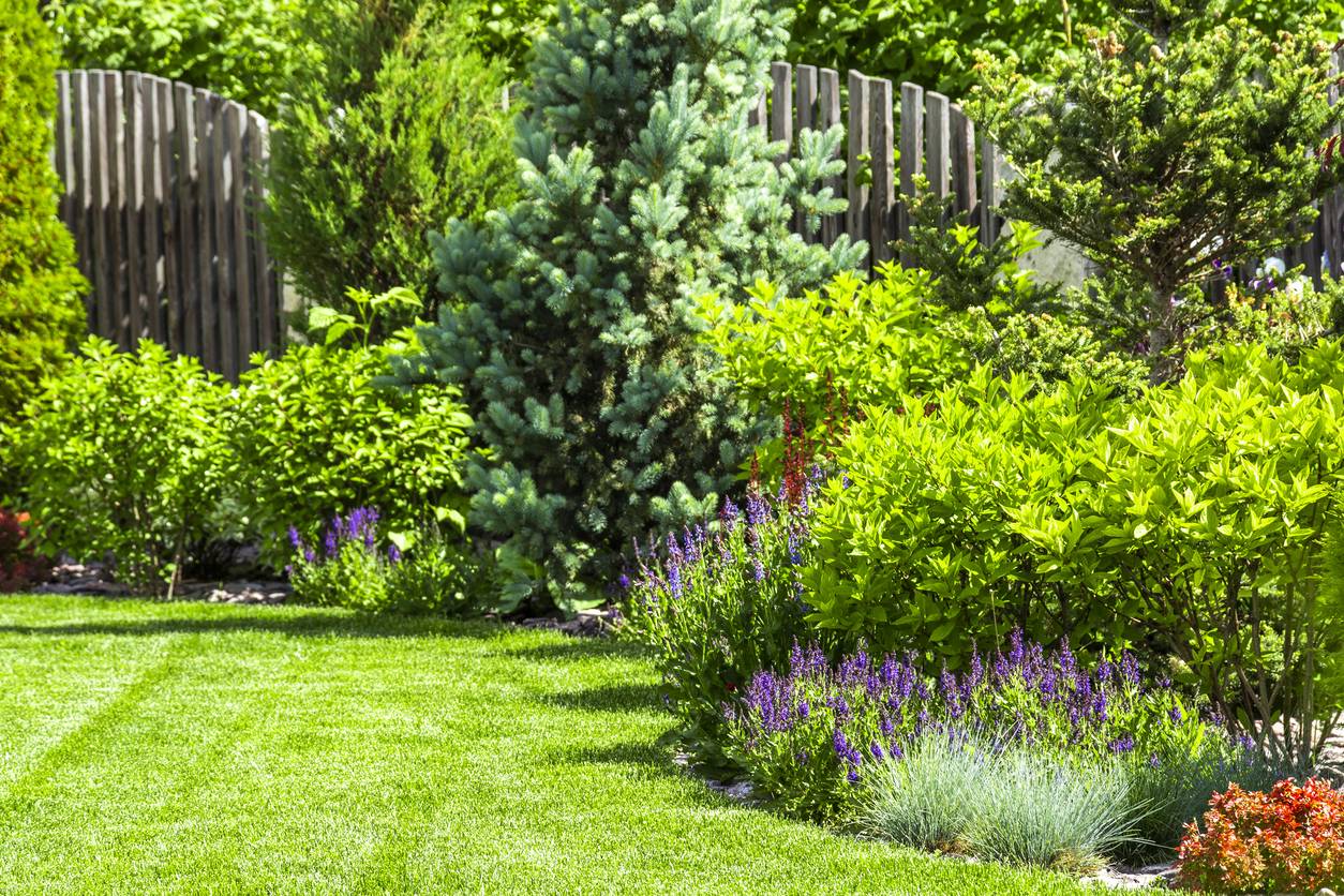 jardin bien entretenu