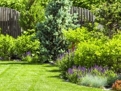 Entretenir son jardin : l’importance des finitions